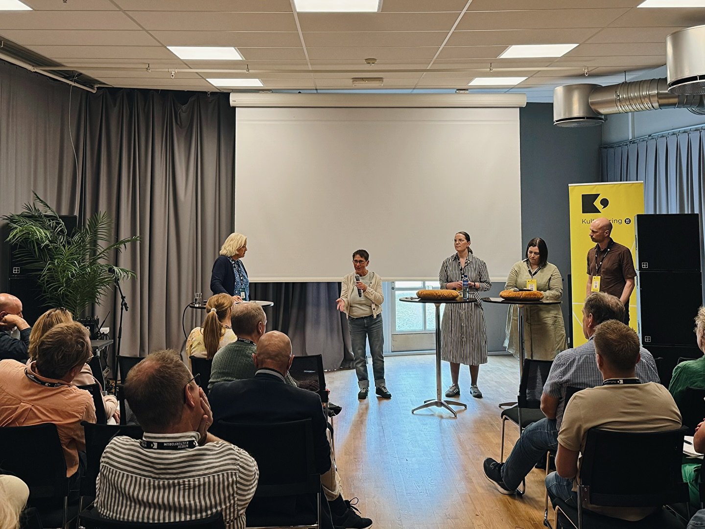 Kulturytring_fotoNMR.jpg